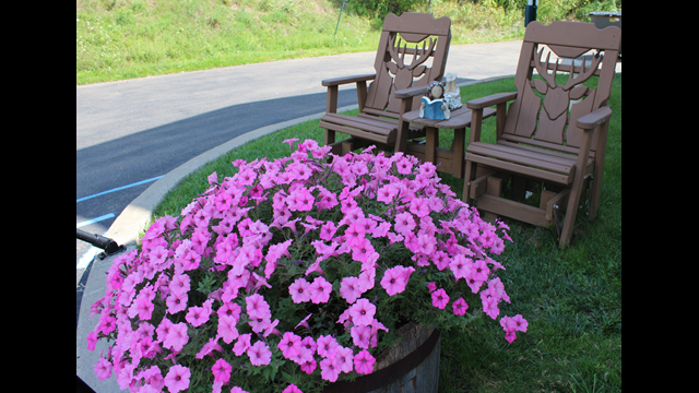 Flower Garden
