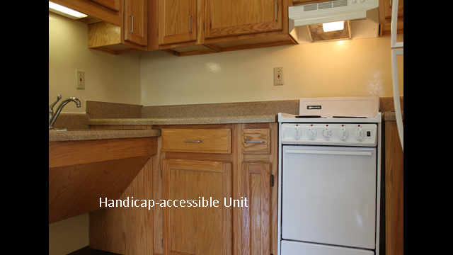 Handicap Accessible Kitchen