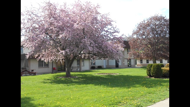 Forestview Manor