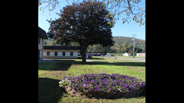 Forestview Manor