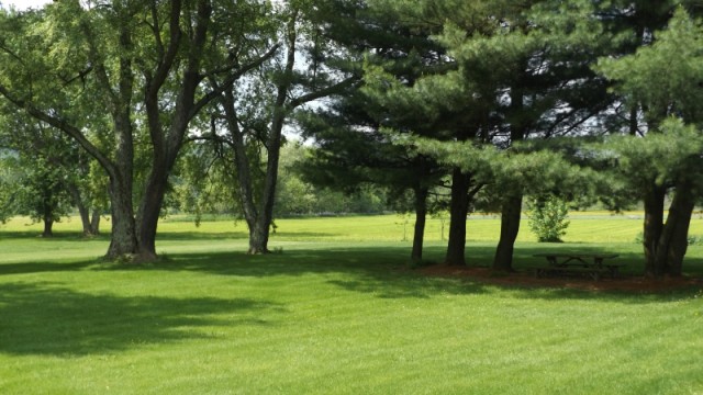 Lawrenceville Elderly Back Lawn