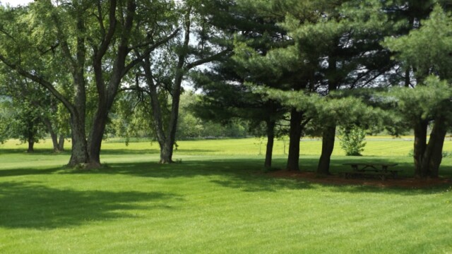 Lawrenceville Elderly Back Lawn