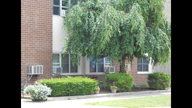 Page Manor
