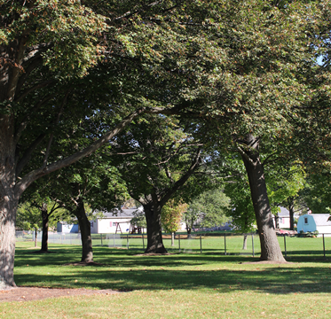 Wapiti Apartments View