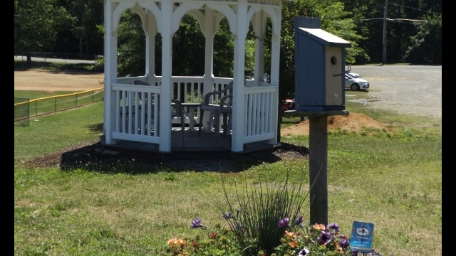 Outdoor Gazebo and Summer Flowers